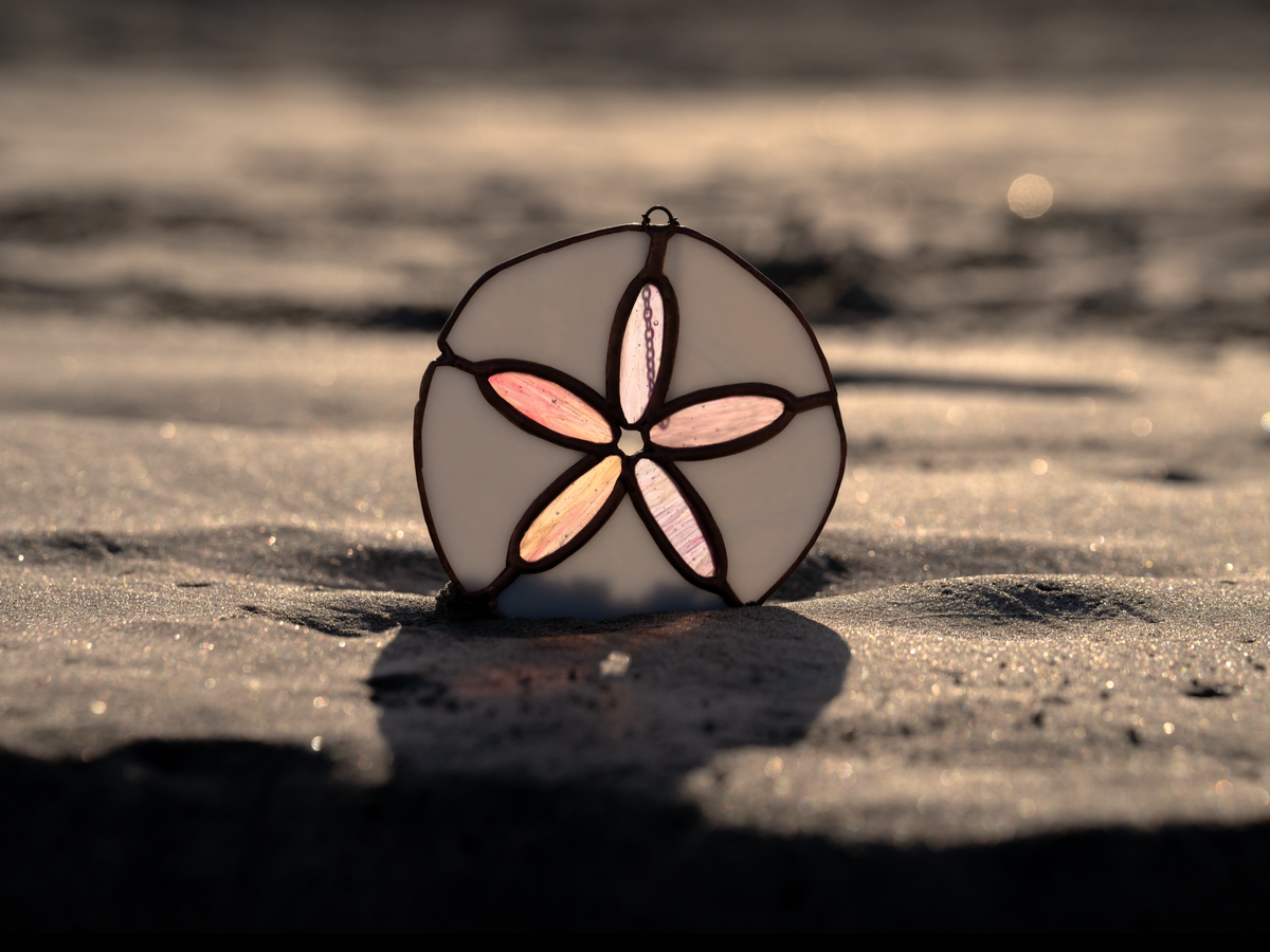 Sand Dollar