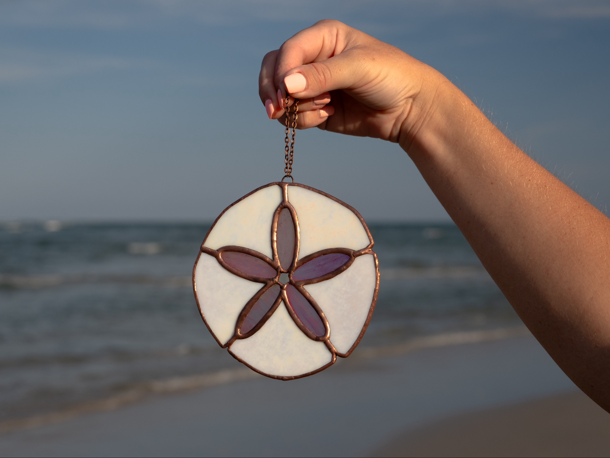 Sand Dollar
