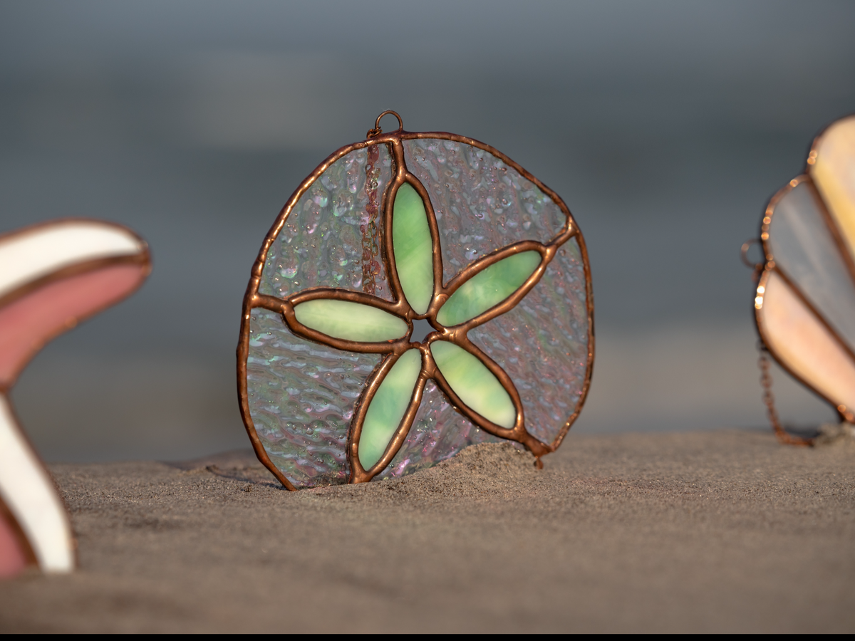 Sand Dollar