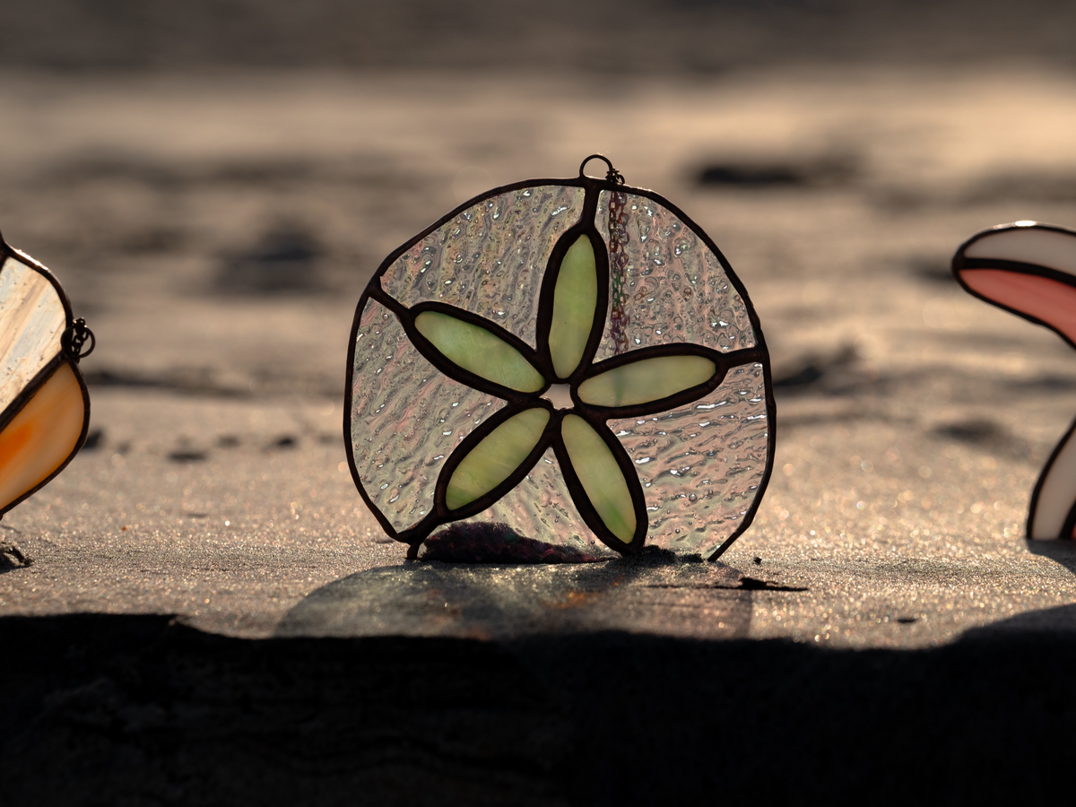 Sand Dollar