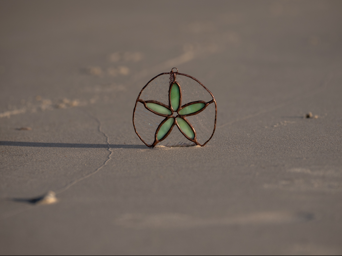 Sand Dollar