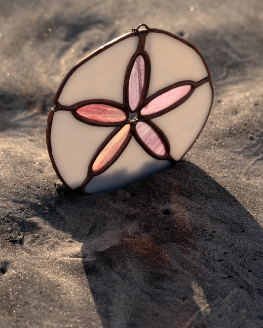 Sand Dollar
