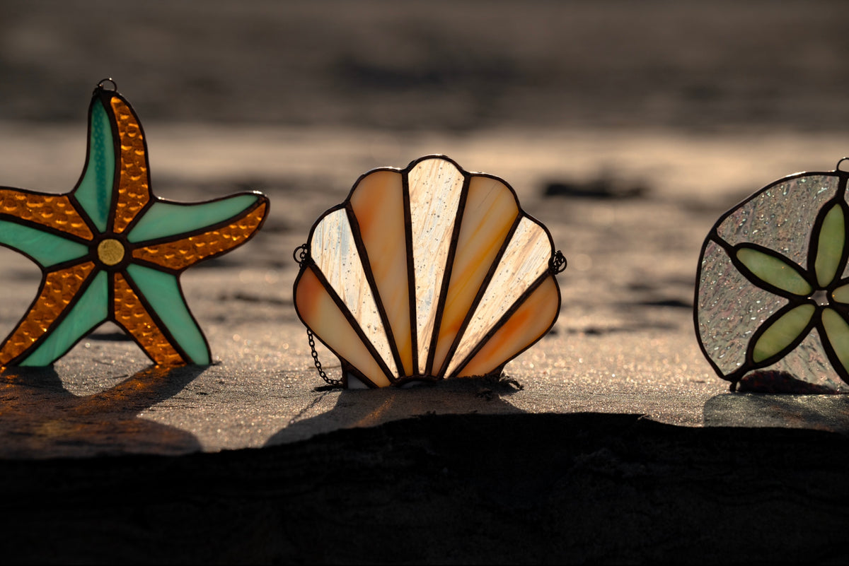 Seashell