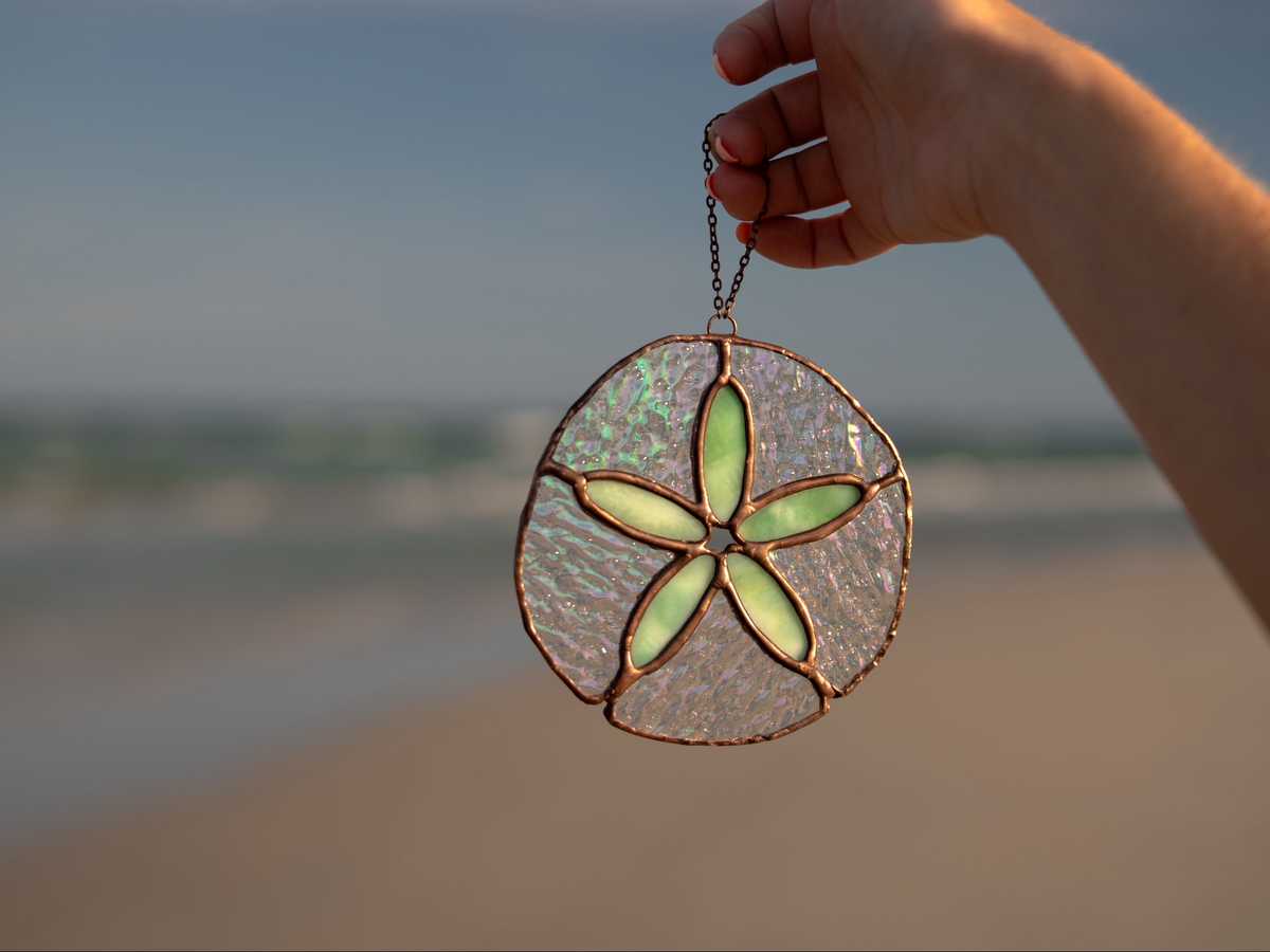 Sand Dollar