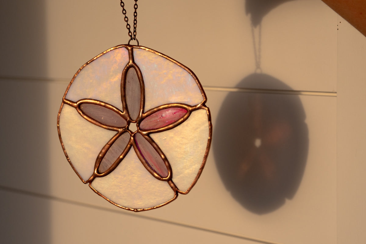Sand Dollar
