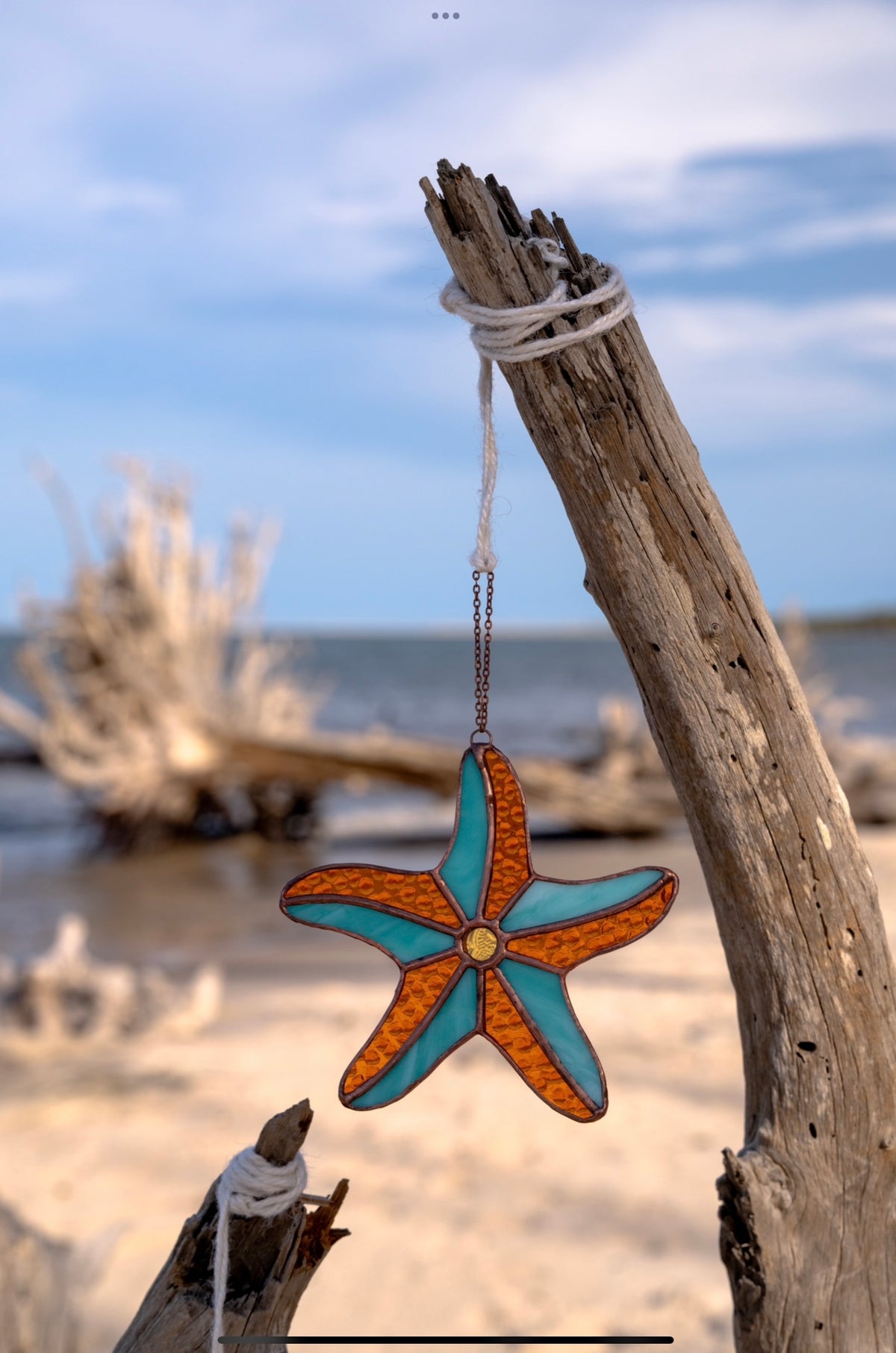 Starfish