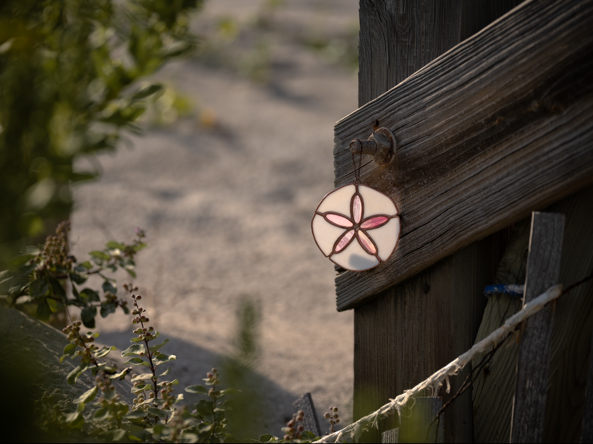 Sand Dollar
